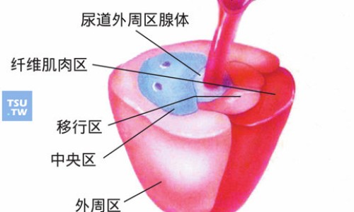 氨咖黄敏胶囊蜀中-氨珈黄敏胶囊蜀中网- 氨珈黄敏颗粒说明书知识,分享氨珈黄敏胶囊治什么